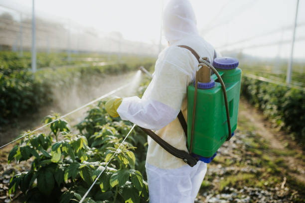 Best Local Pest Control Services  in Green Village, NJ